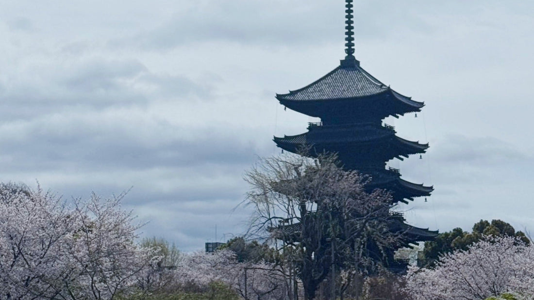 Finding Hidden Gems: A Morning at Kyoto’s Toji Garakuta-ichi Antique Market